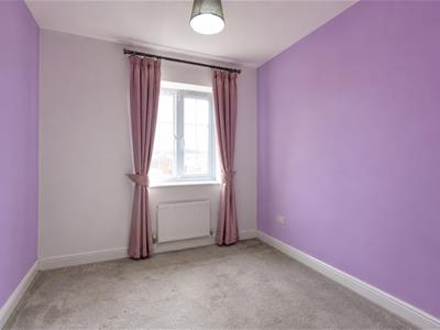 Picture 13